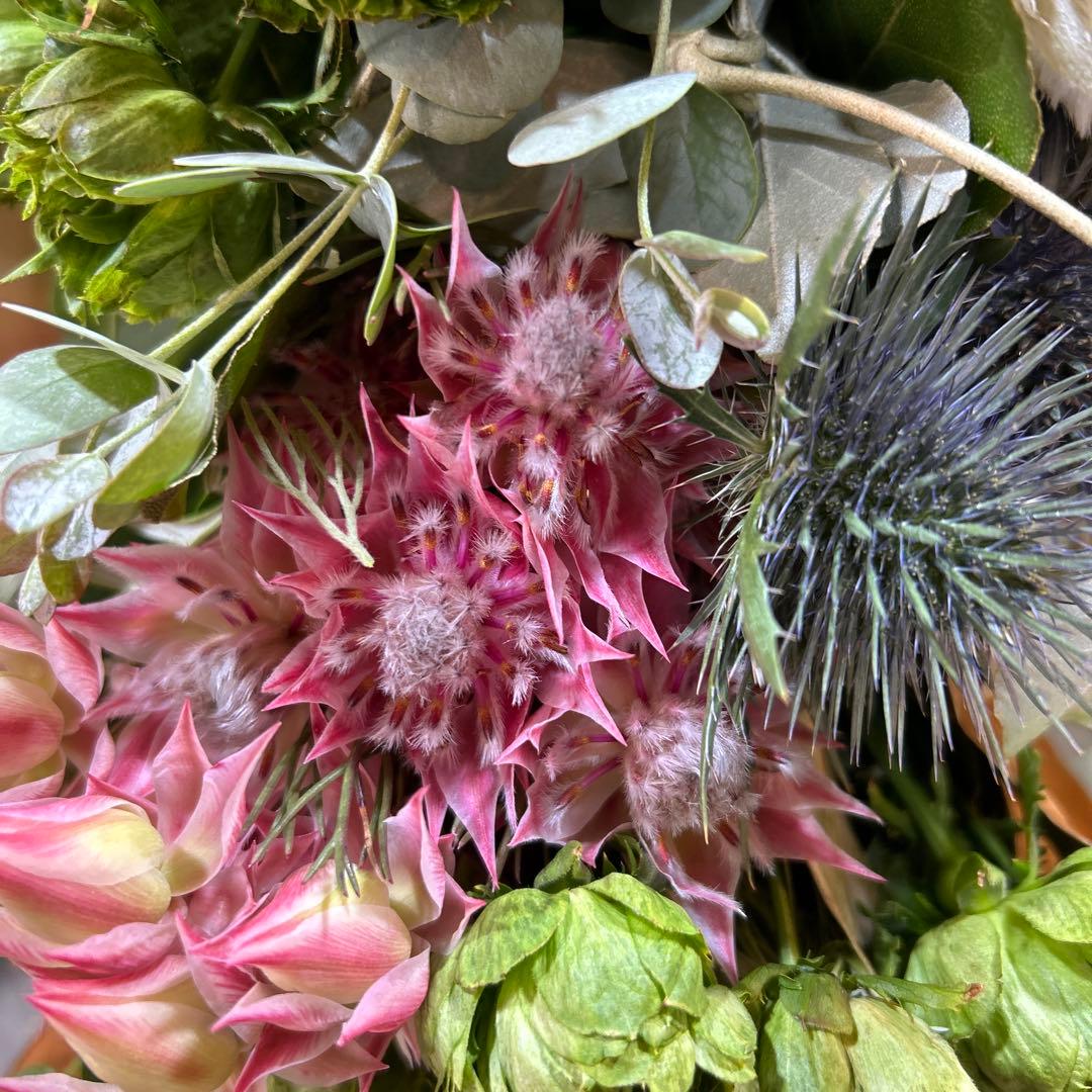 セルリアとバラとキングプロテアのスワッグ