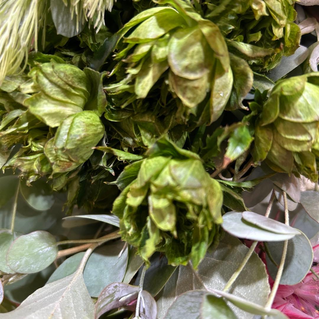 セルリアとバラとキングプロテアのスワッグ