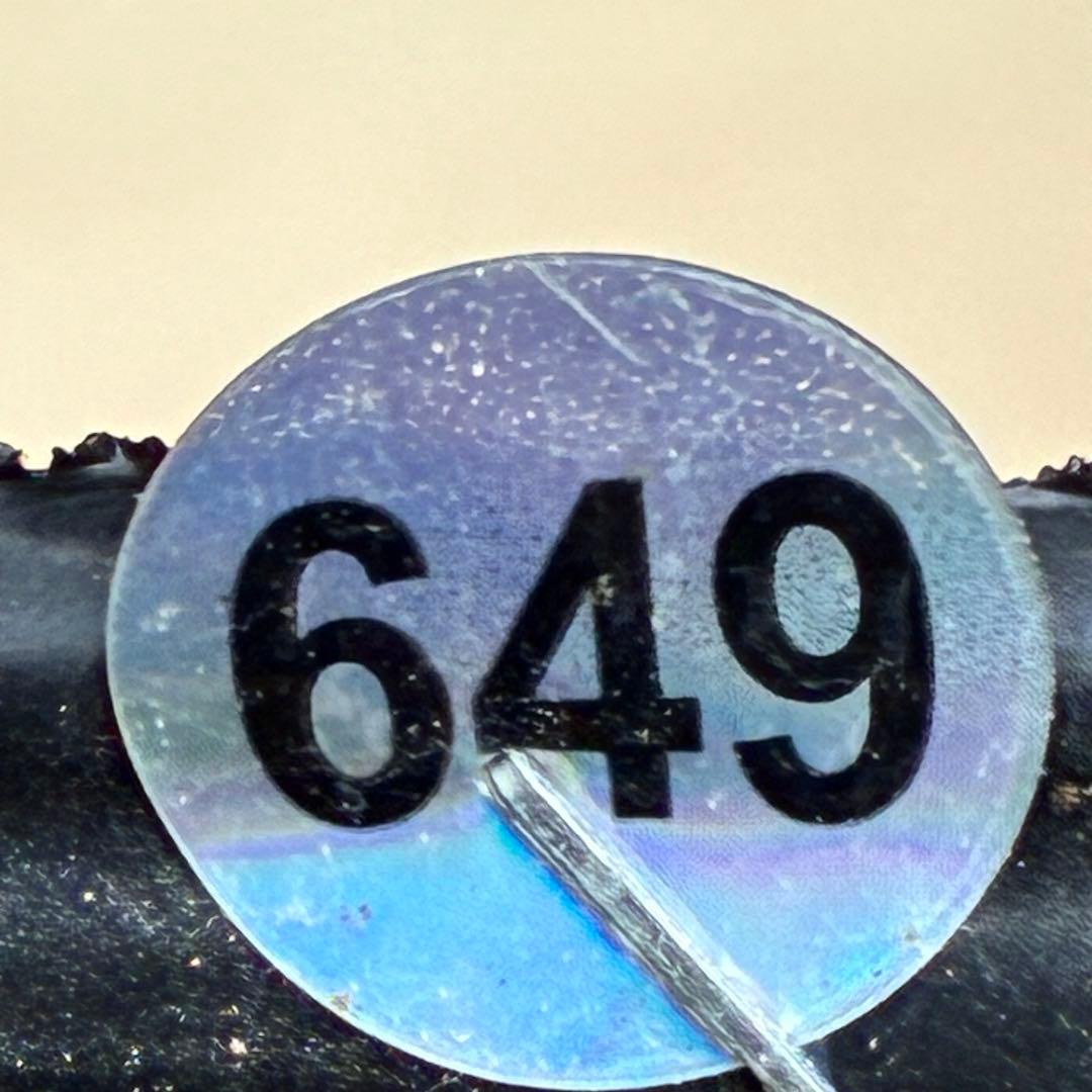 ま*️様 ☘️唯一無二☘️❤️根充実❤️新芽❤️649⭐️特殊花弁⭐️【キラキラ