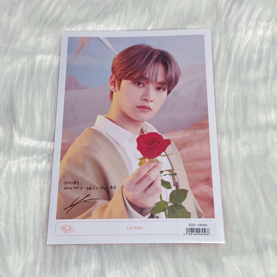 【抜けなし】StrayKids JAPAN 2023 シーグリ 【特典リノ】