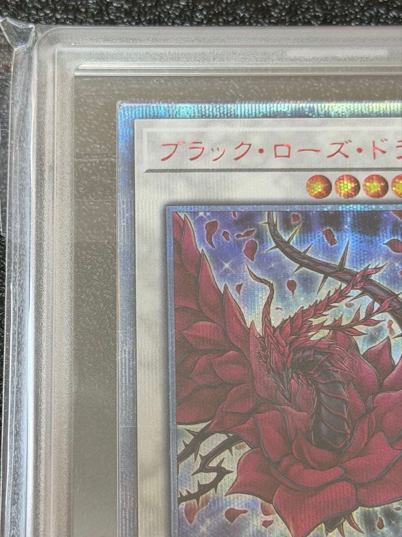 【ARS10＋】ブラック・ローズ・ドラゴン 20thシークレット【遊戯王】