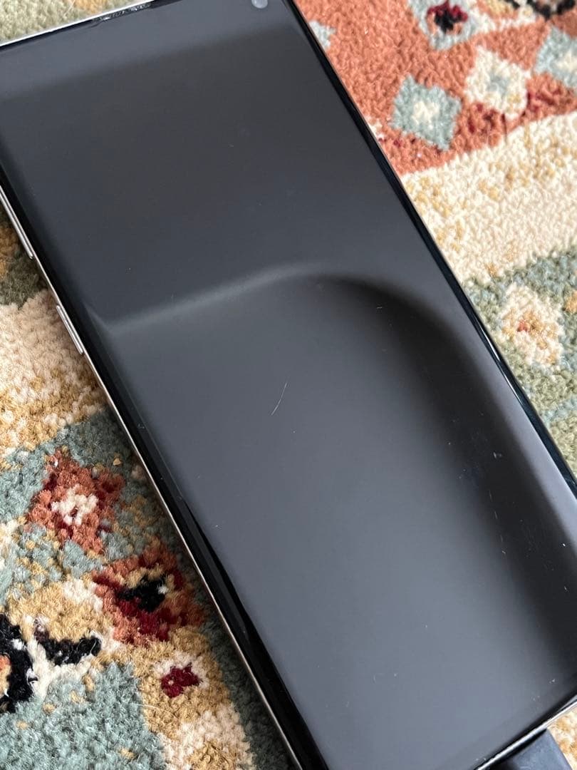 Samsung Galaxy S10 本体