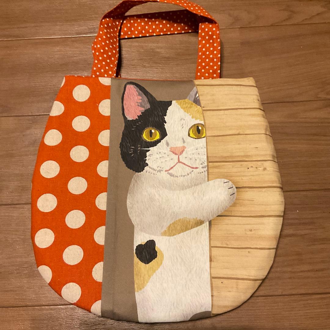 キラキラ⭐️　　ひょっこり猫②