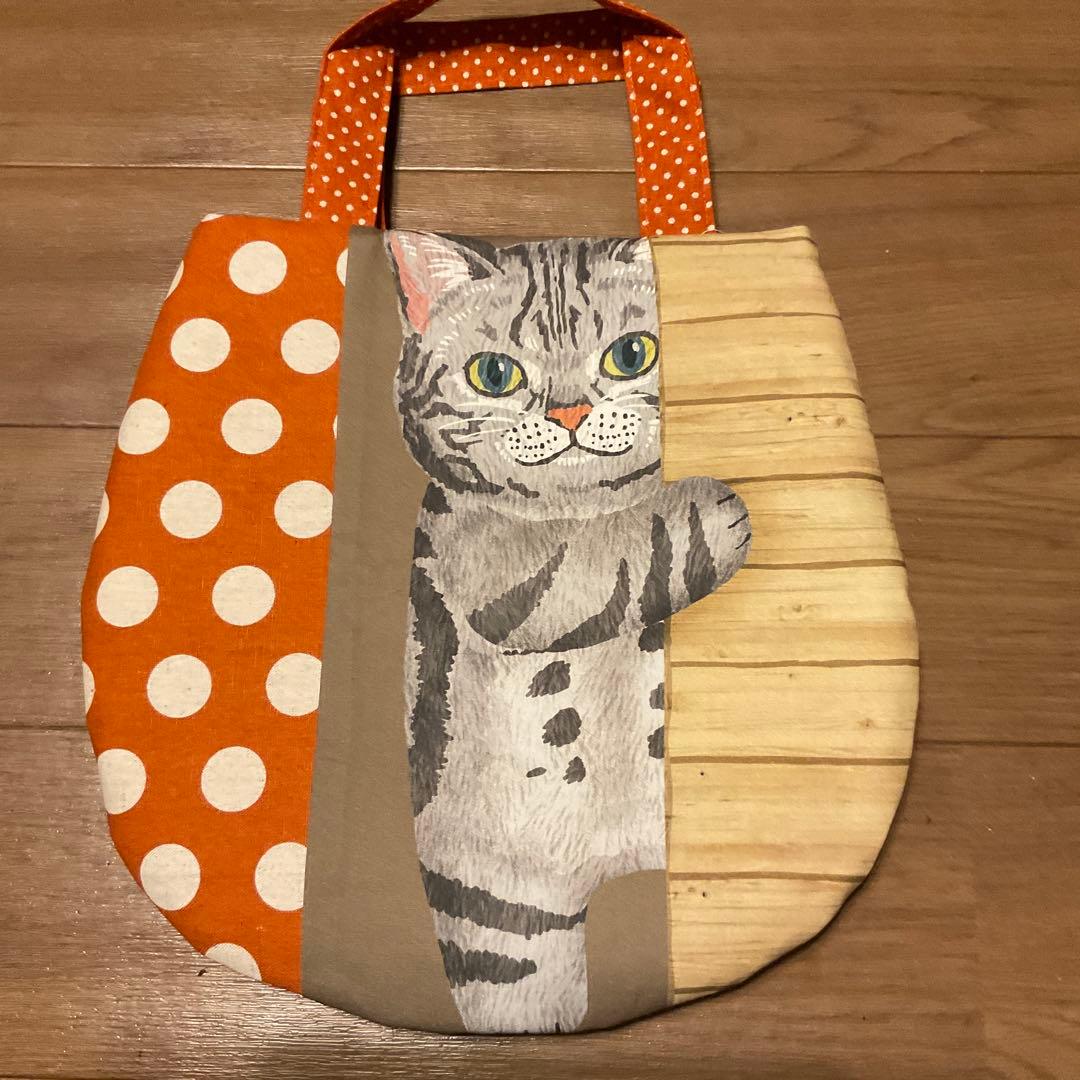 キラキラ⭐️　　ひょっこり猫②