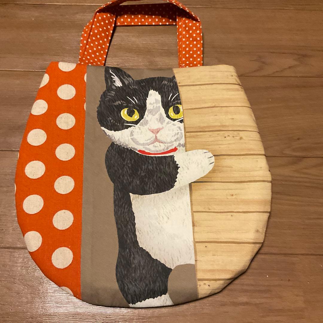 キラキラ⭐️　　ひょっこり猫②