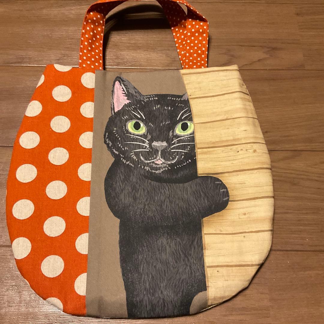 キラキラ⭐️　　ひょっこり猫②