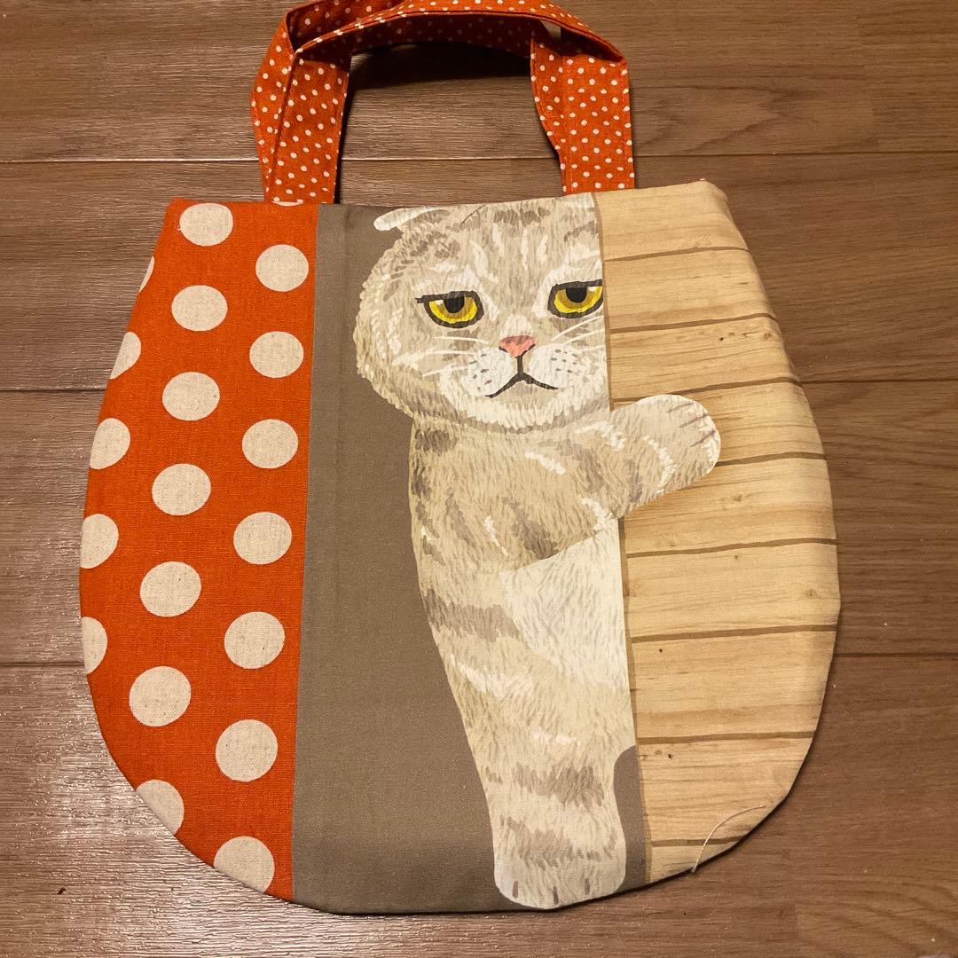 キラキラ⭐️　　ひょっこり猫②