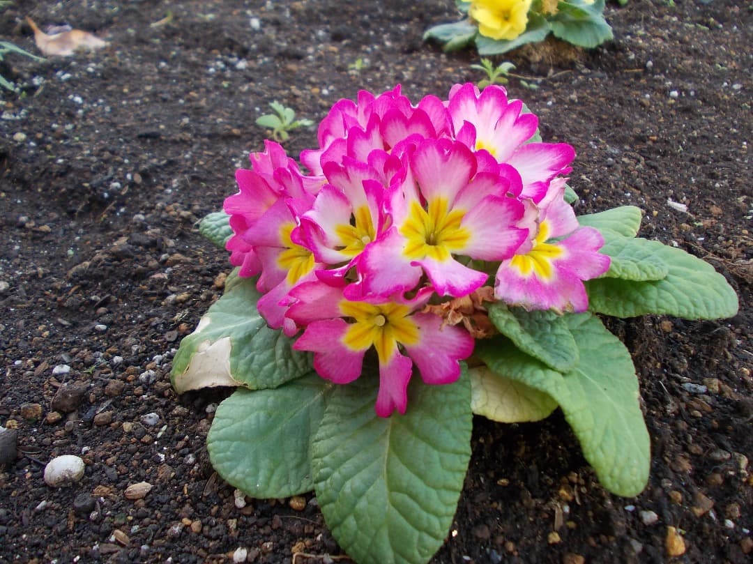 追加有り⭕️訳有【動作確認済み】Nikon COOLPIX L23 シルバー