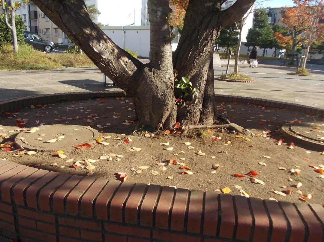 追加有り⭕️訳有【動作確認済み】Nikon COOLPIX L23 シルバー