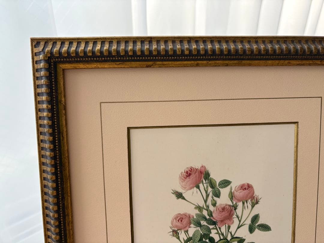 P.J. Redouté ピンクのバラ 絵画