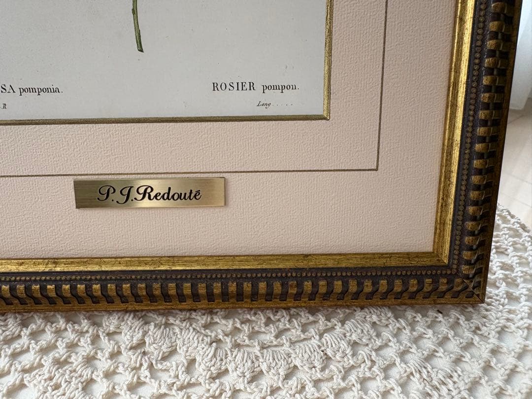 P.J. Redouté ピンクのバラ 絵画