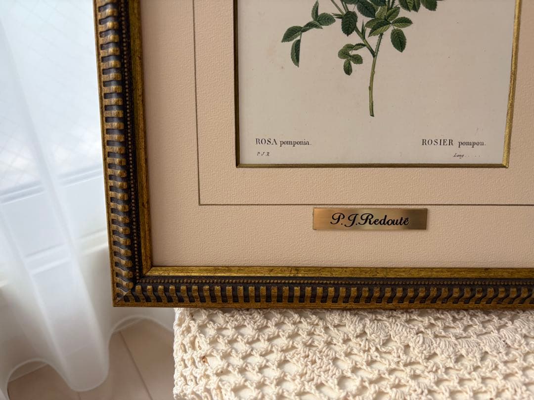 P.J. Redouté ピンクのバラ 絵画
