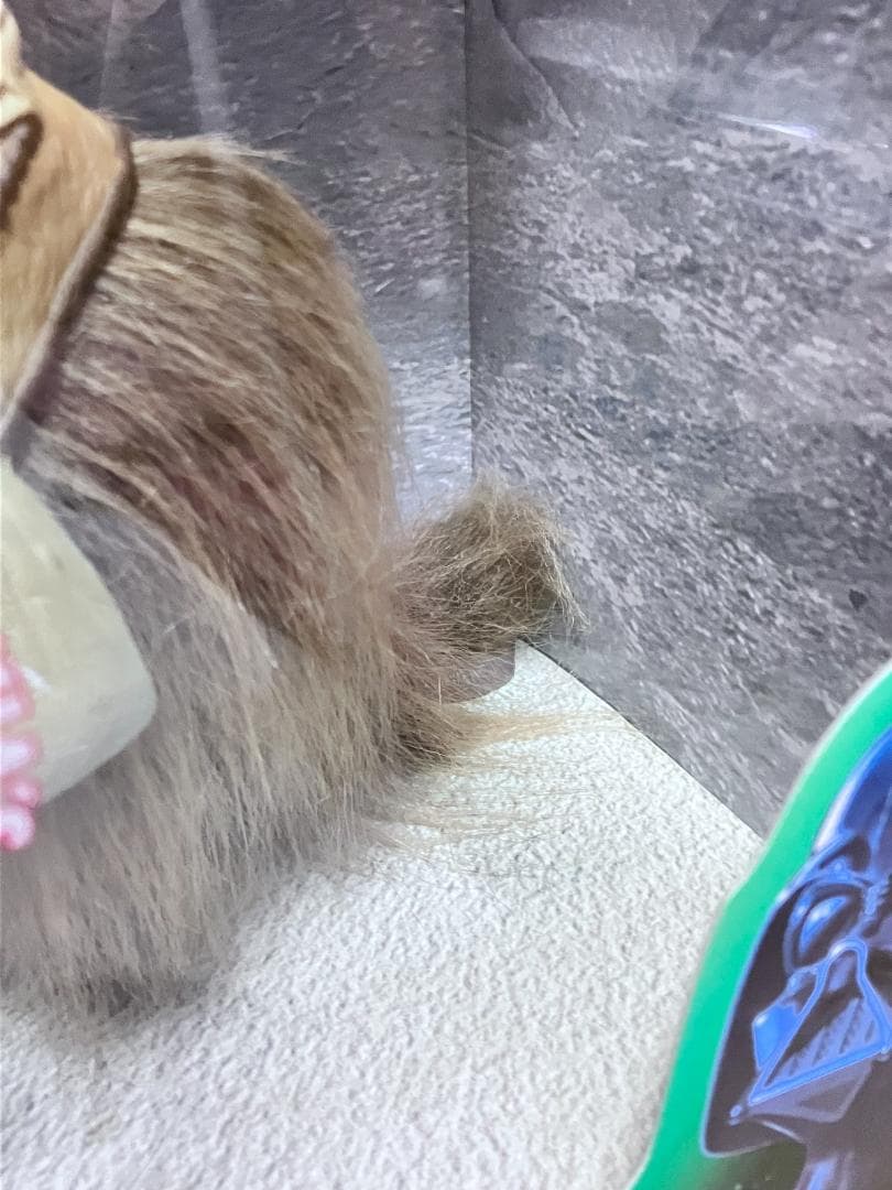 未開封 スターウォーズ『バンサ&タスケン・レイダー』DXクリーチャー