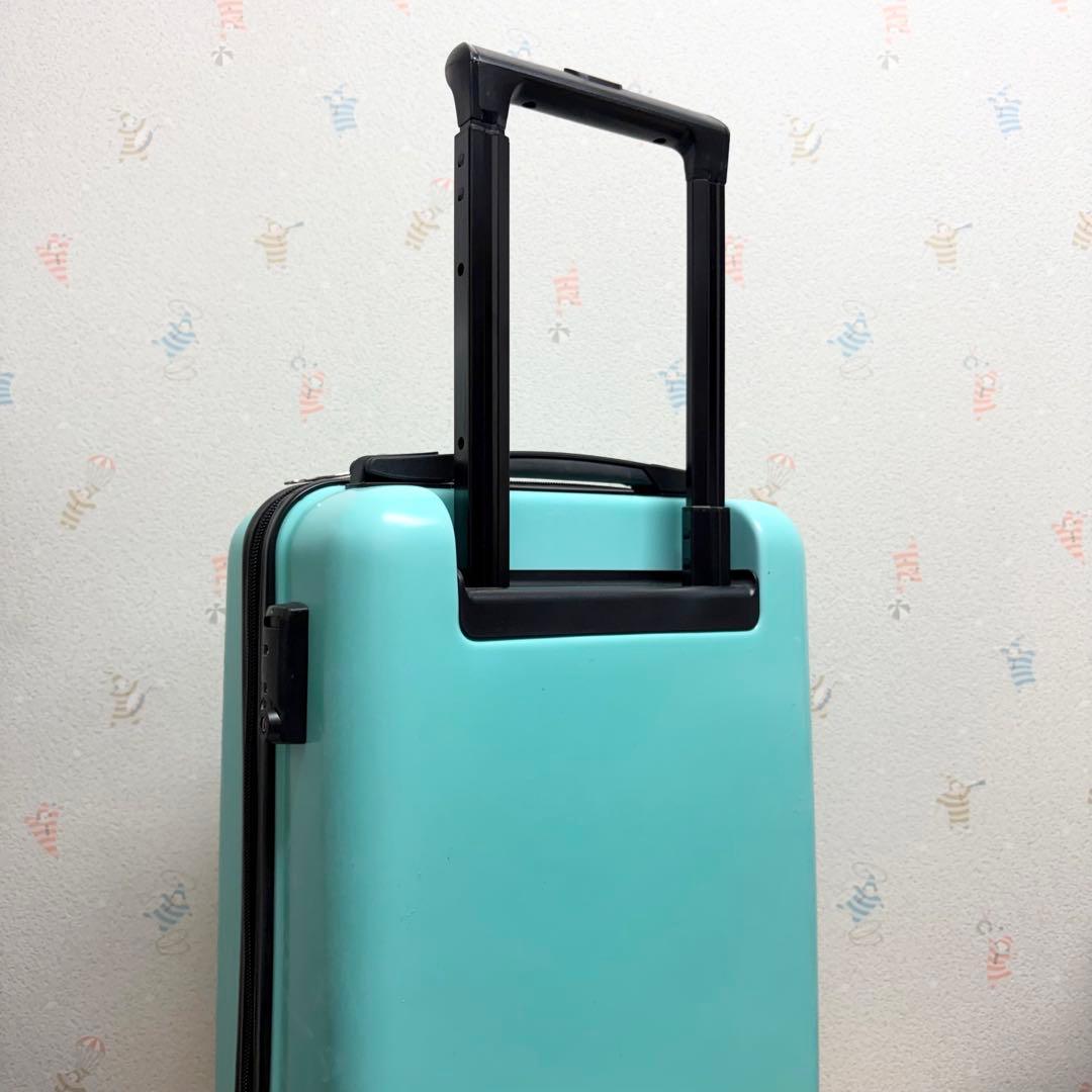 ハンギョドンキャリーケース