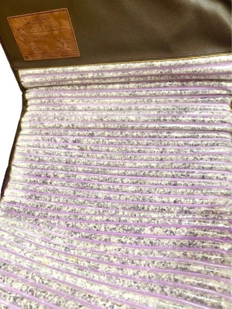 正規品RICHWAY バイオマット 7000mx プロフェッショナル アメジスト