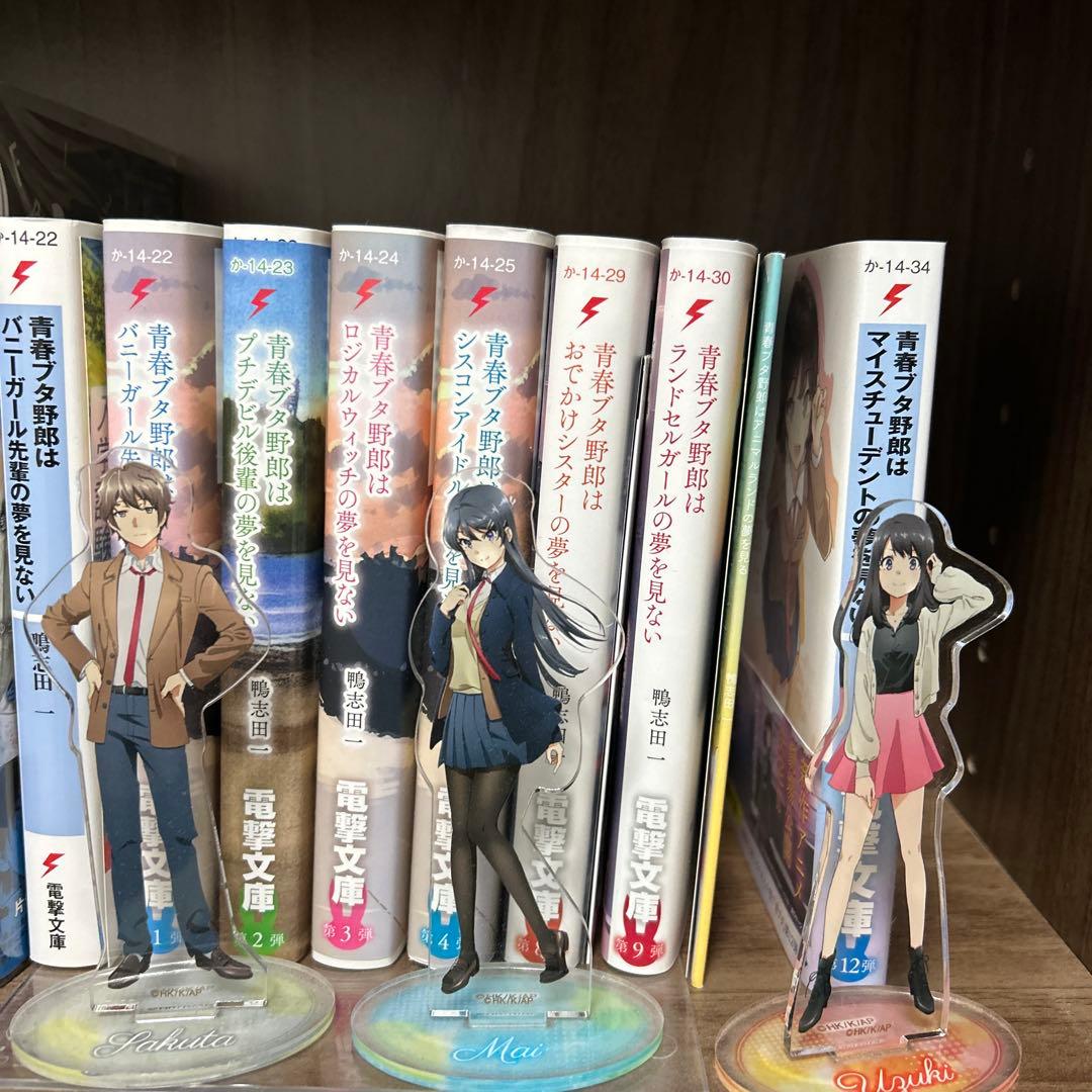 青春ブタ野郎はバニーガール先輩の夢を見ない グッズと小説