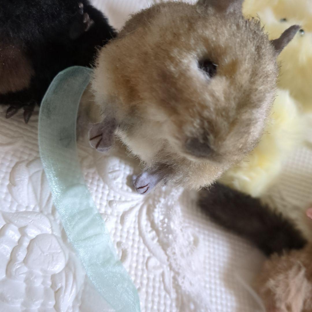 ハンドメイド ぬいぐるみ 作家 国内 アートドール 手作り まとめて セット