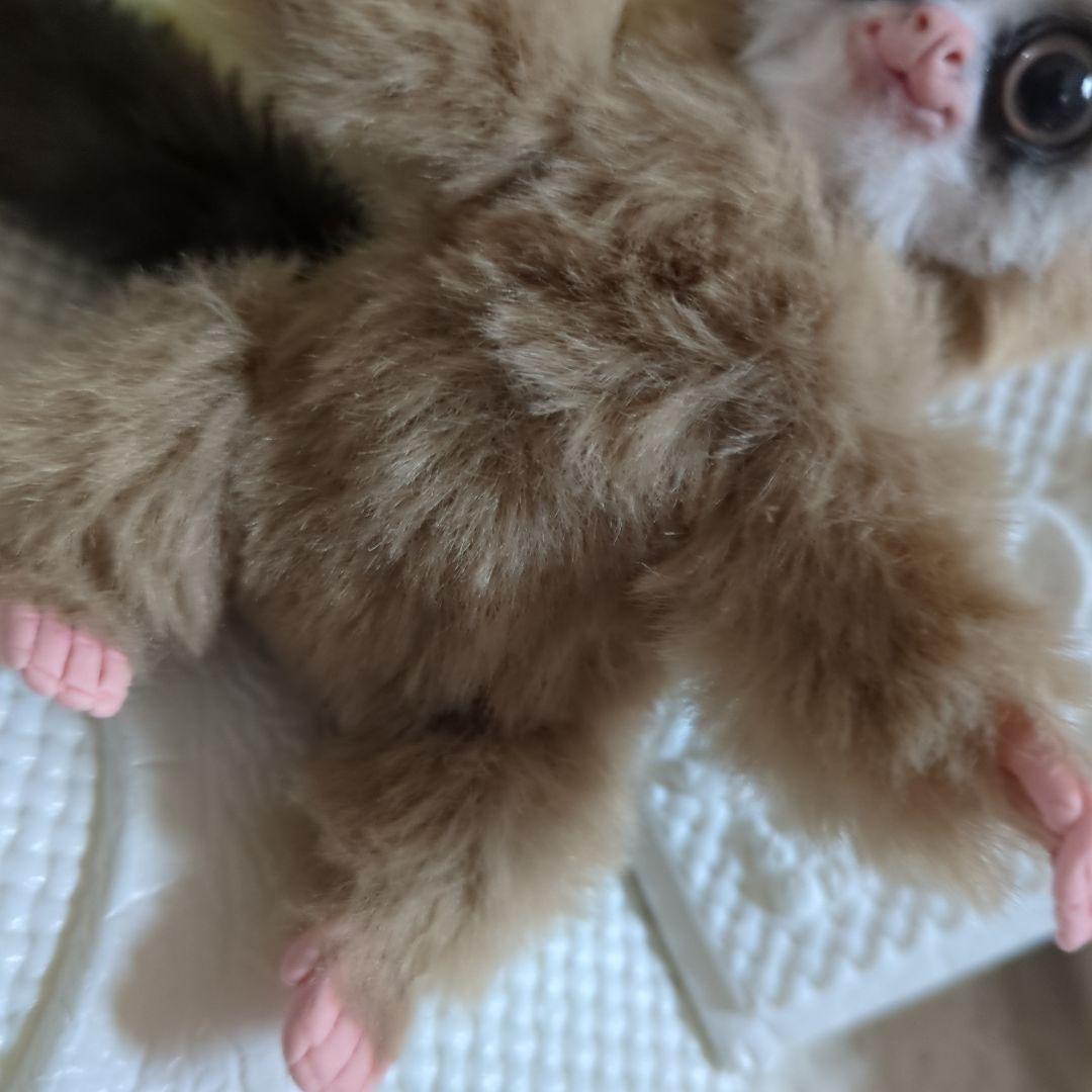 ハンドメイド ぬいぐるみ 作家 国内 アートドール 手作り まとめて セット