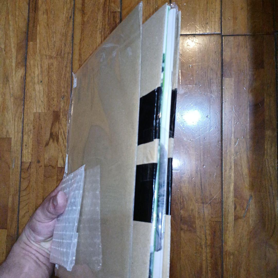 BUMP OF CHICKEN グッズ(雑誌・冊子・チラシ・ピンバッジ)