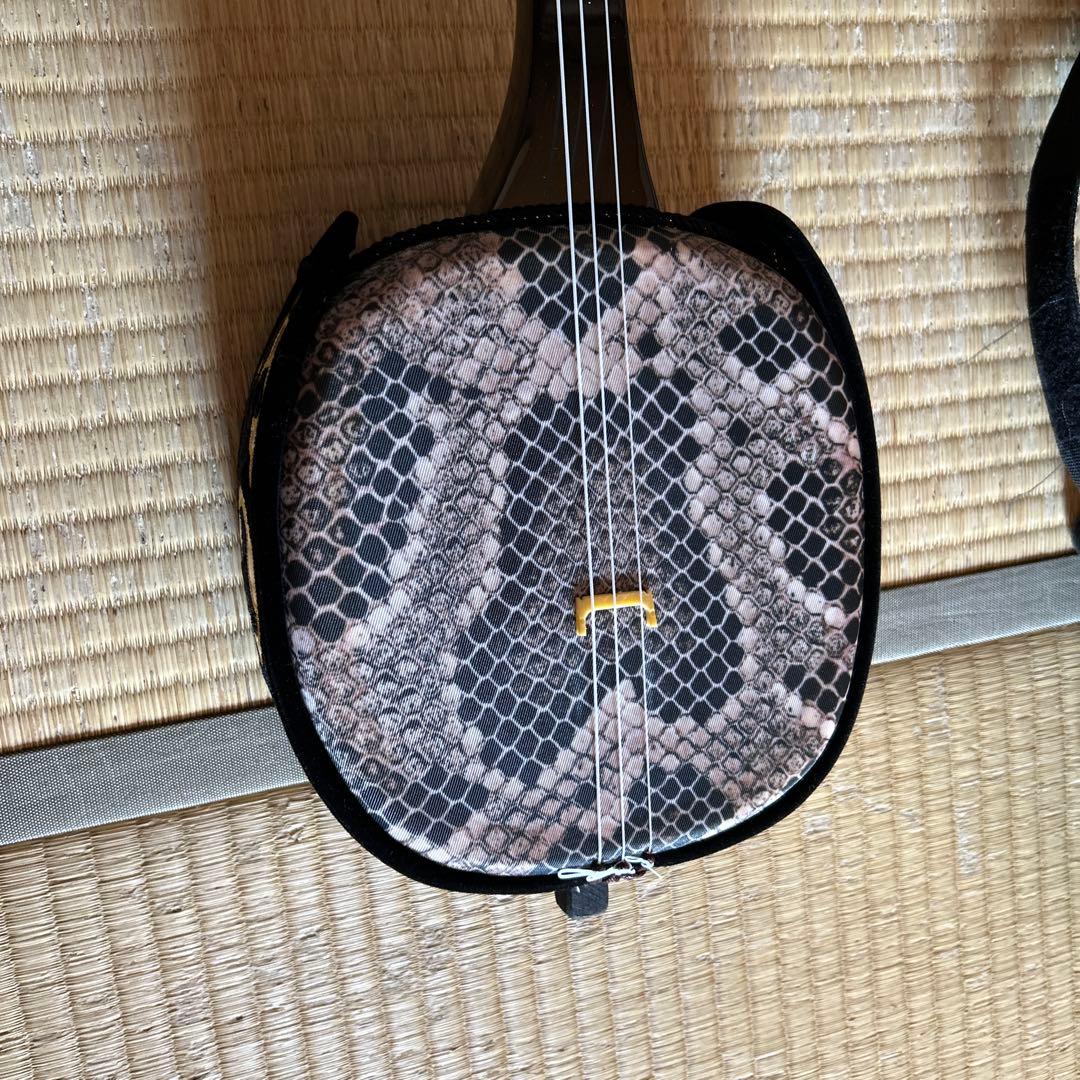 三線本体 ヘビ柄デザイン ケース付き