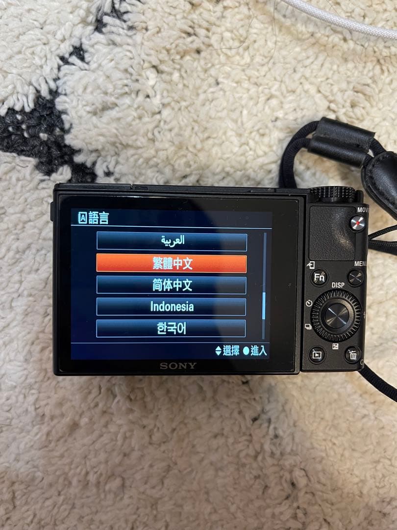 美品　英語／中国語版 SONY Cyber-shot RX100M5