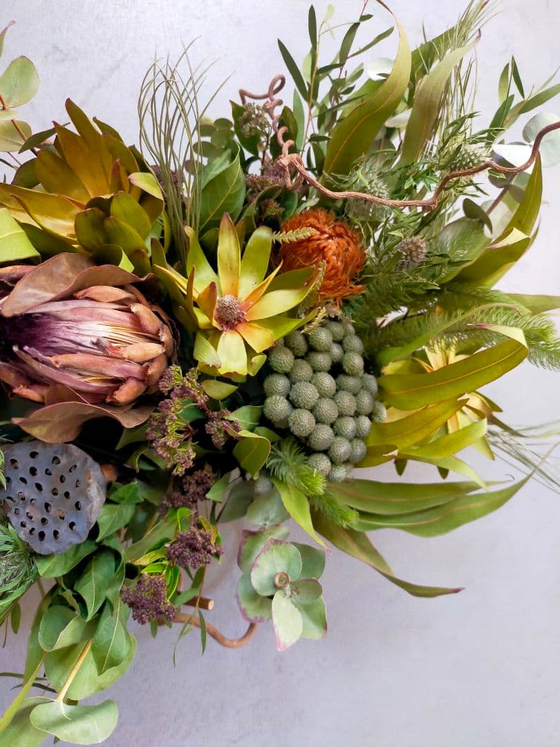 91.【春✕人気♡✕横長スワッグ】ドライフラワー ワッグ プレゼント プロテア