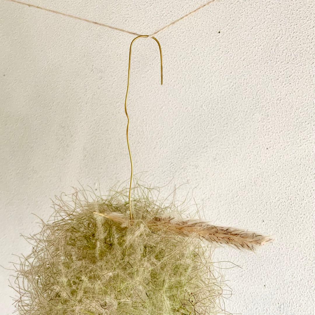 スモークツリー　フライングリース　ボールリース　きみどり