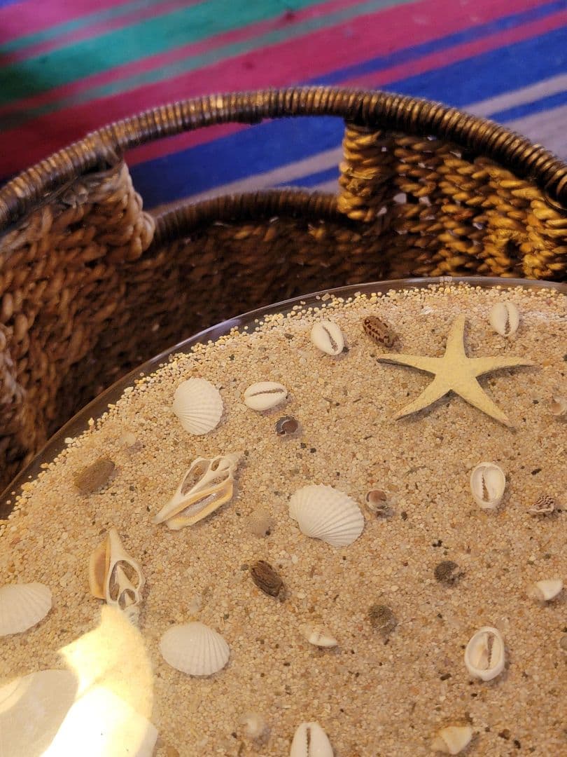 シェルトップ収納スツール　貝殻　装飾　硝子付き収納　バスケット インテリア