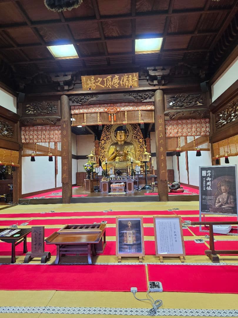 流れに乗り富を築く二頭の馬オルゴナイト