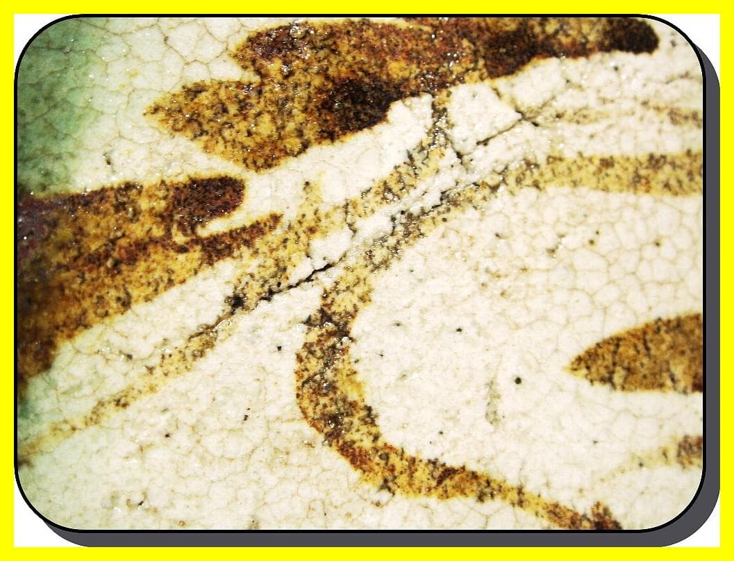 ma507⑦『織部 松 五角鉢』　/骨董品 古美術 アンティーク 古玩