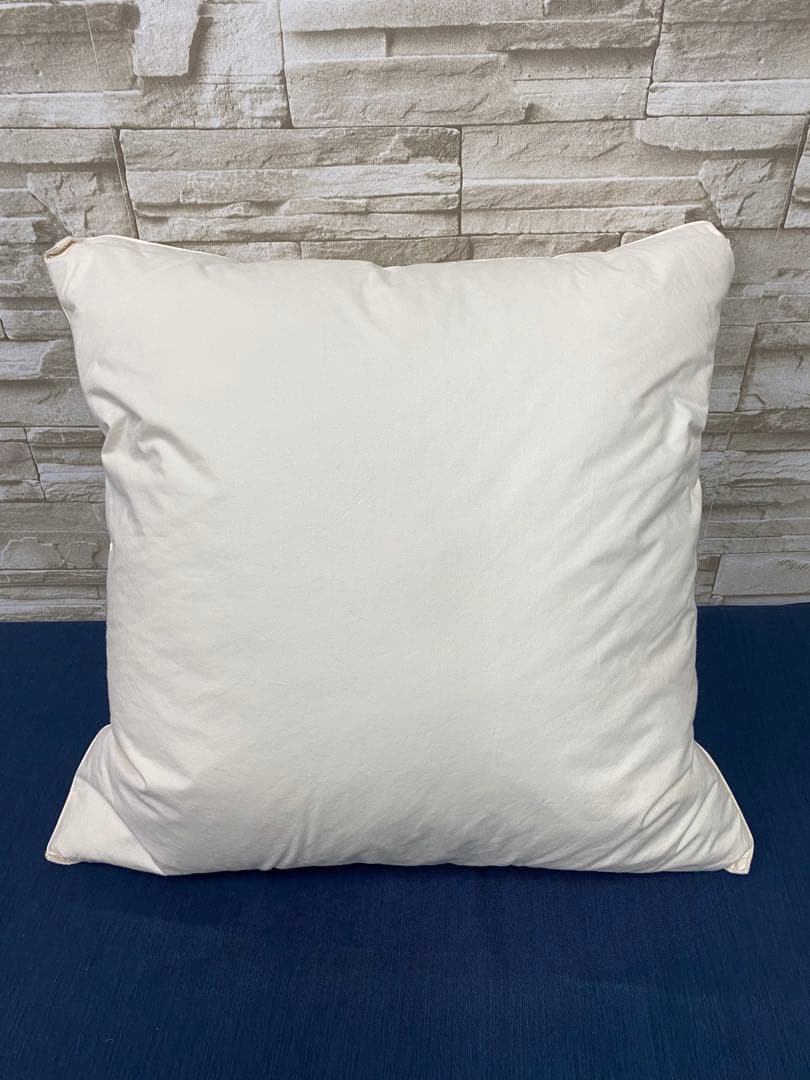 CASSINA カッシーナ　イクスシー　クッション　2個セット