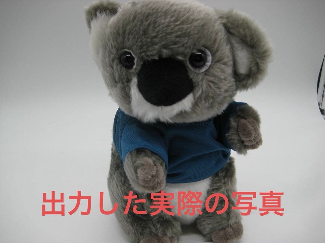 【動作OK】Canon IXY DIGITAL 10 コンデジ オールド