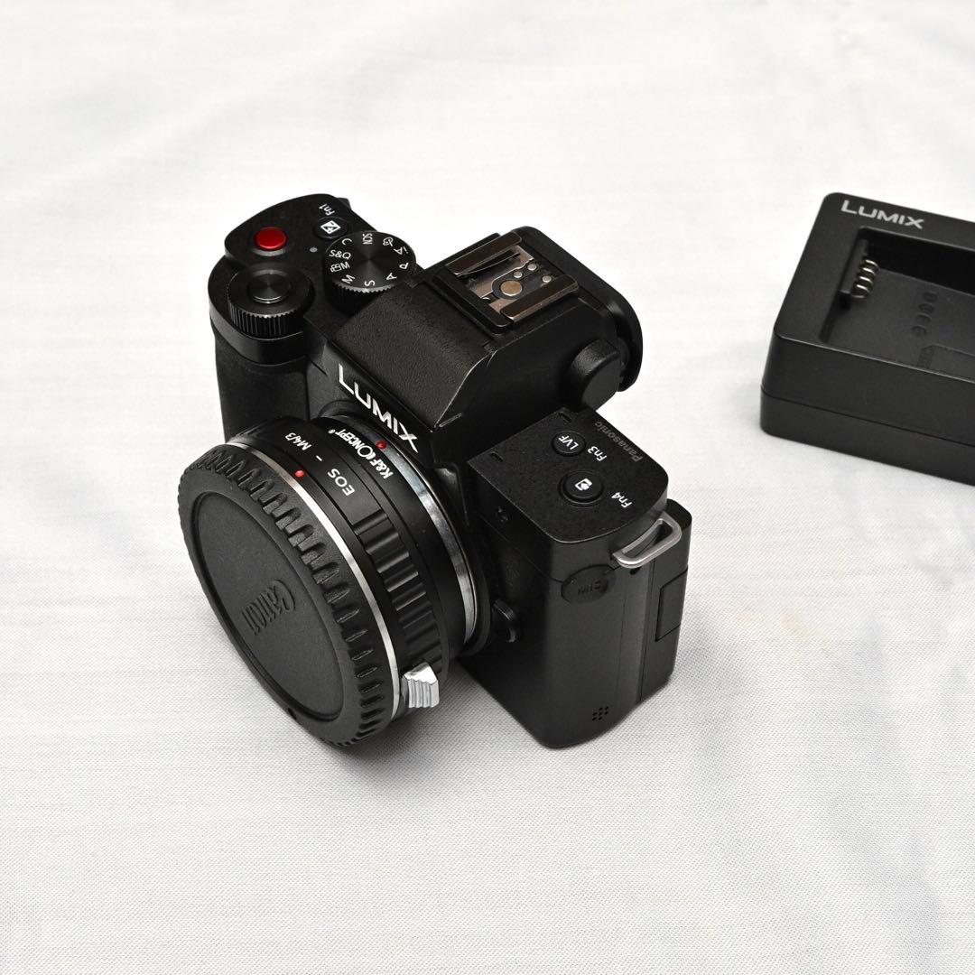 LUMIX G100D ミラーレス一眼 ボディ バッテリー3個付き