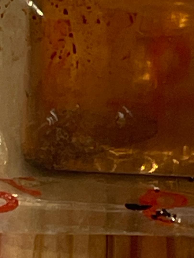 丸新銅器 卵焼器 15㎝ 未使用 銅製