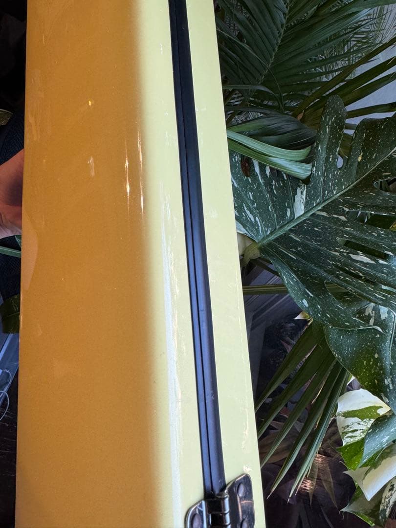 フルート用　CCシャイニーケースⅡ 現行品　イーストマン　パステルイエロー