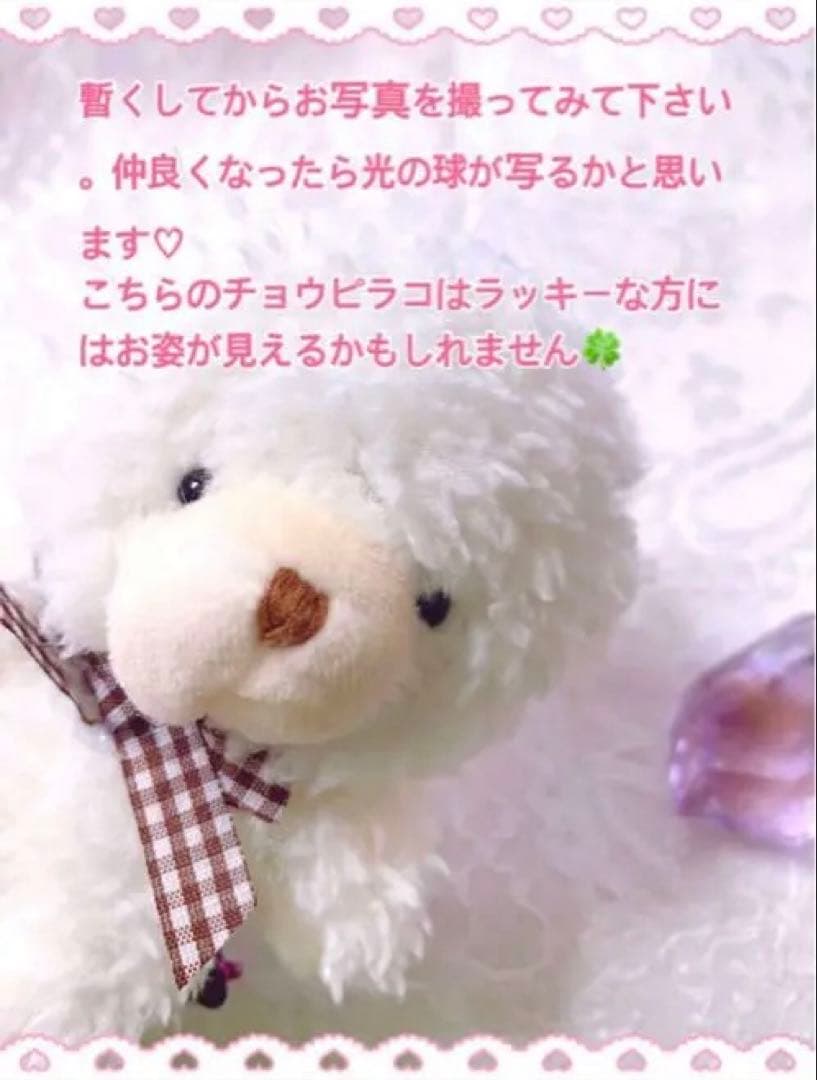 座敷童子 最高位チョウピラコ宿る ボールチェーン キーホルダー型 熊のぬいぐるみ