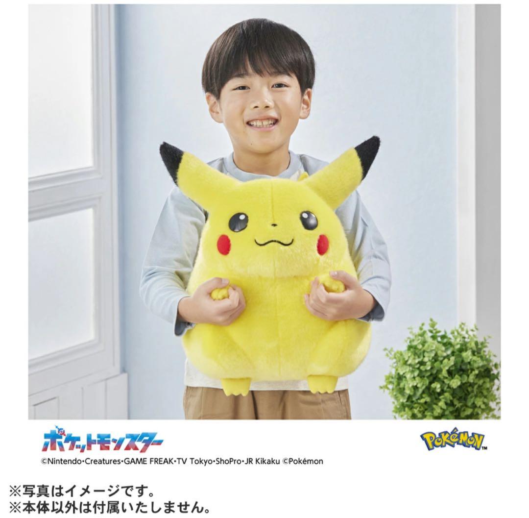 ポケモン30周年記念おかえり!ピカチュウ1/1 専用BOX付き