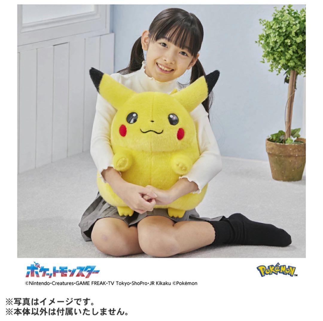 ポケモン30周年記念おかえり!ピカチュウ1/1 専用BOX付き