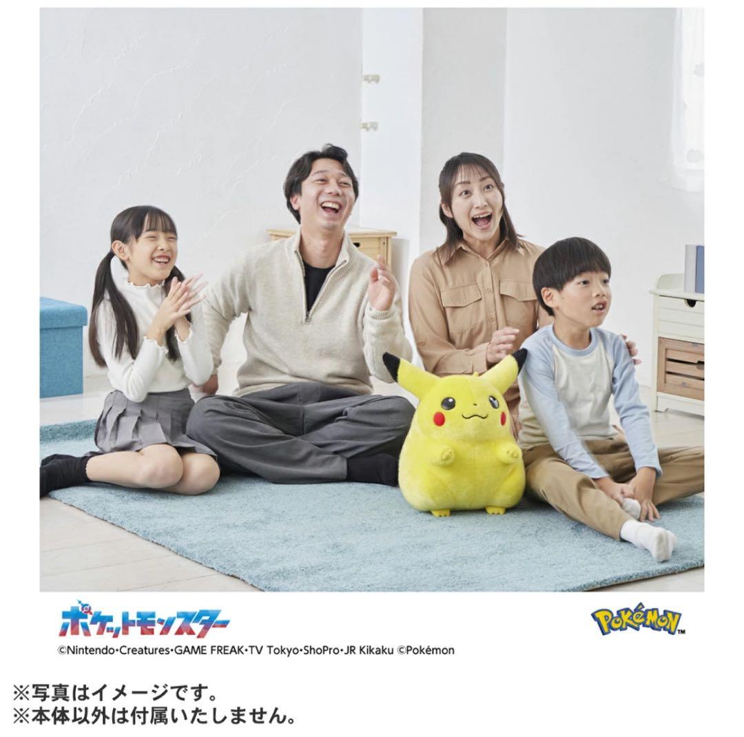 ポケモン30周年記念おかえり!ピカチュウ1/1 専用BOX付き
