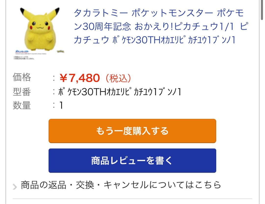 ポケモン30周年記念おかえり!ピカチュウ1/1 専用BOX付き