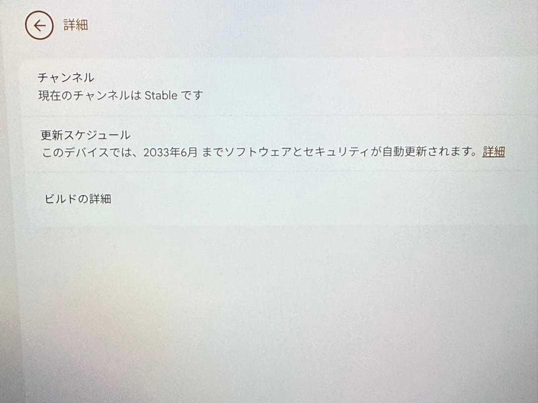 Chromebook CM3001DM2 中古