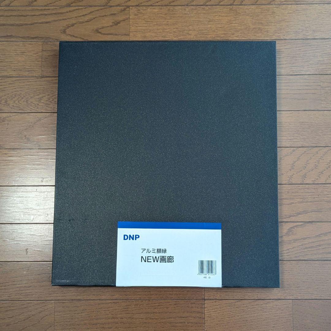 DNP アルミ額縁 「NEW 画廊」（四切／ホワイト）剱岳　写真