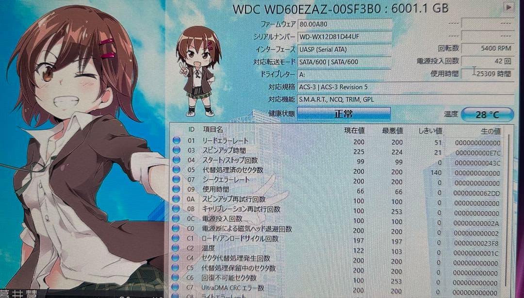 WesternDigital Blue 6TB HDD 6台