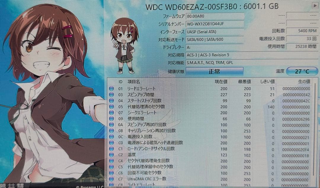 WesternDigital Blue 6TB HDD 6台