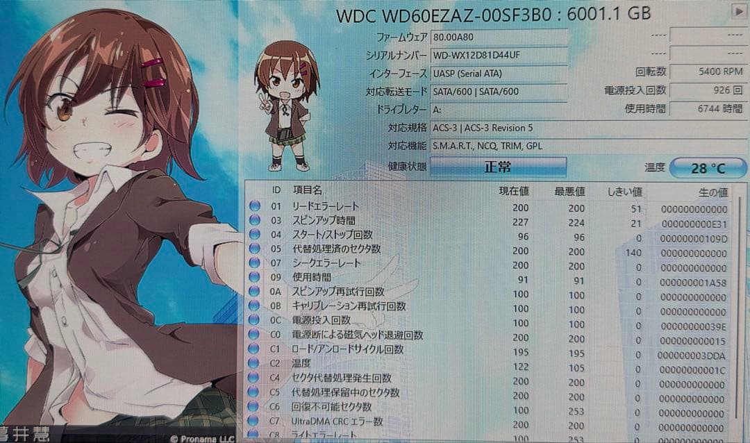 WesternDigital Blue 6TB HDD 6台