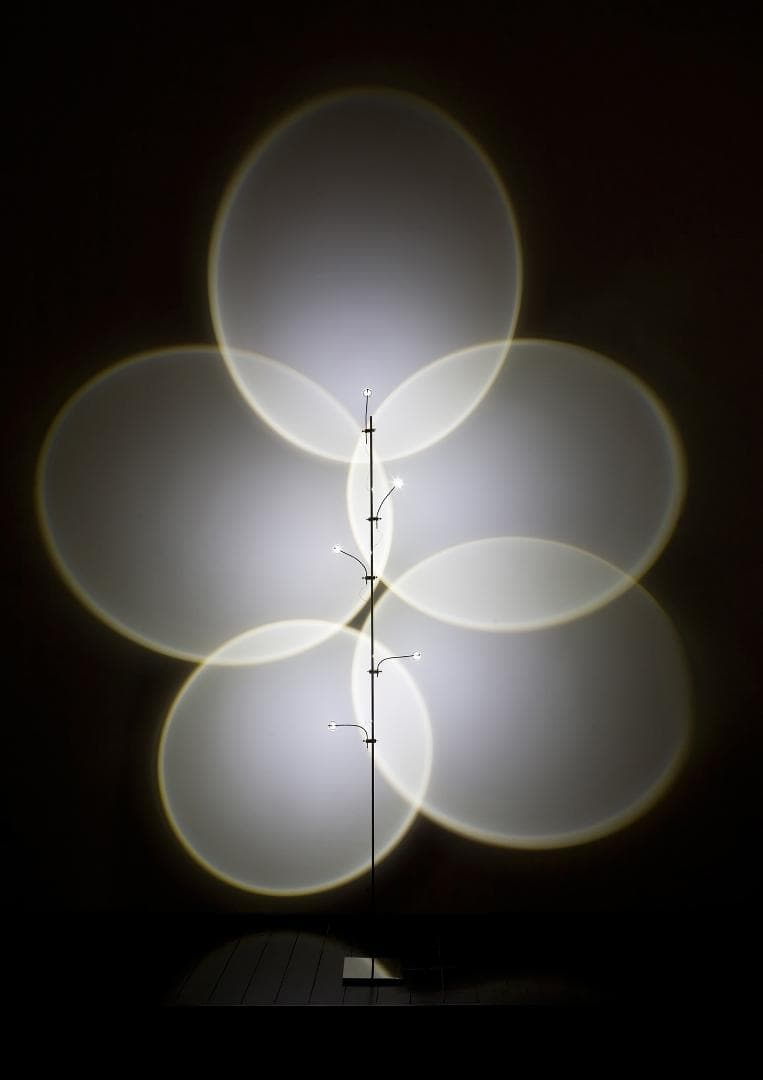 Catellani & Smith カテラーニ＆スミス Wa Wa ワワ 50万