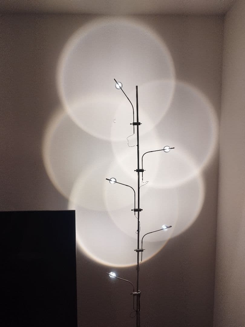 Catellani & Smith カテラーニ＆スミス Wa Wa ワワ 50万