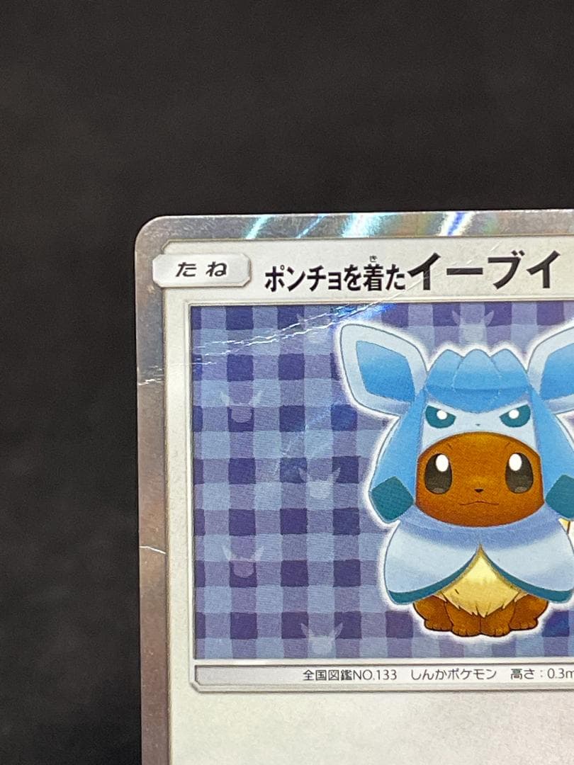 ポケモン ポンチョを着たイーブイ グレイシア プロモ 143/SM-P