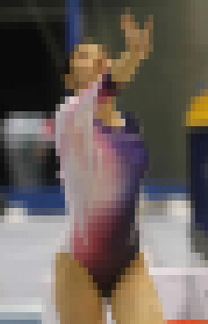 女子体操写真セット 2017年全日本体操 高画質！10500枚 2