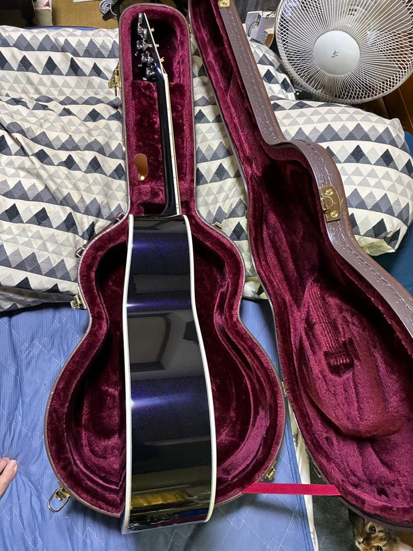 Morris R -15 MO エレアコ　藤村政明　プレミアムシリーズ